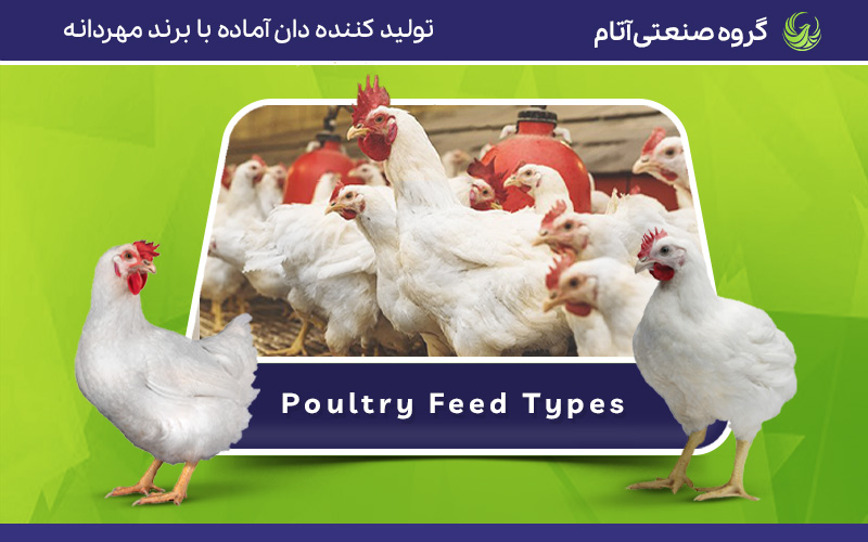 انواع خوراک طیور بر اساس اهداف پرورشی